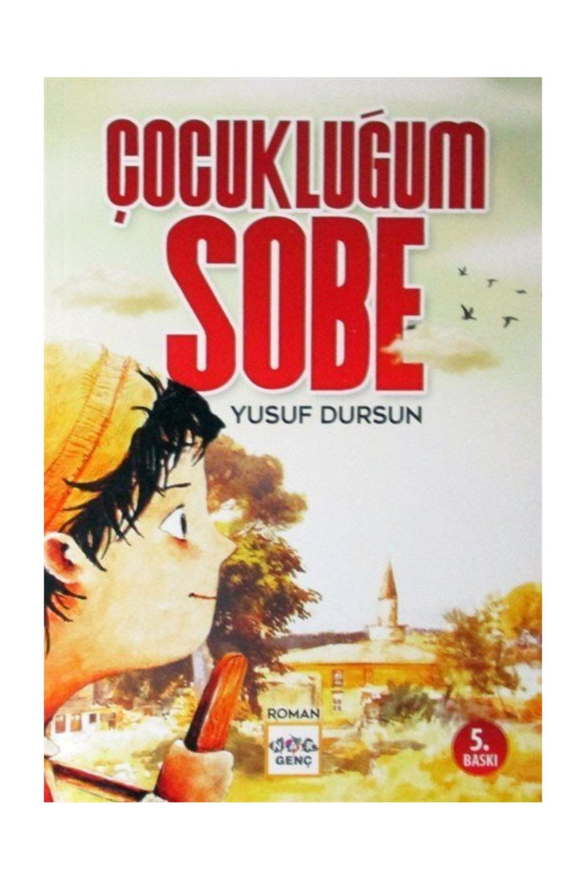 Nar Yayinlari Cocuklugum Sobe Trendyol
