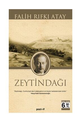 Kadinin Hak Arama Rehberi Altin Mimir Nadir Kitap