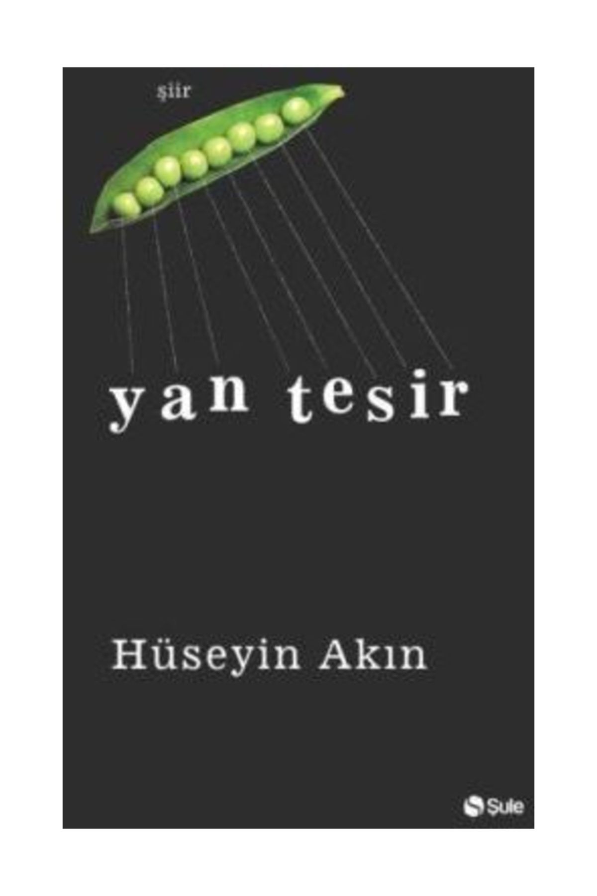 Yan Tesir Huseyin Akin Kitap Babil