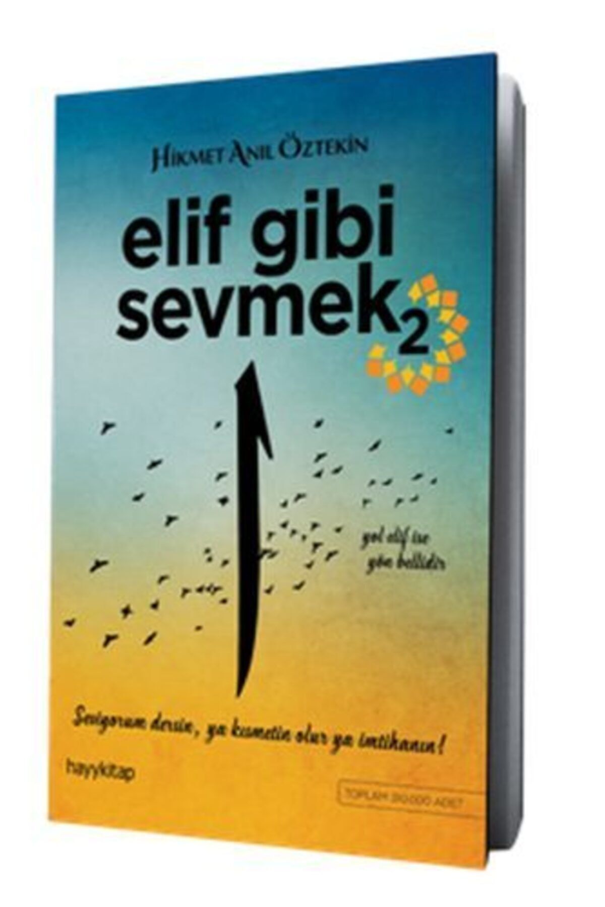 Hayykitap Elif Gibi Sevmek 2-hayy Kitap