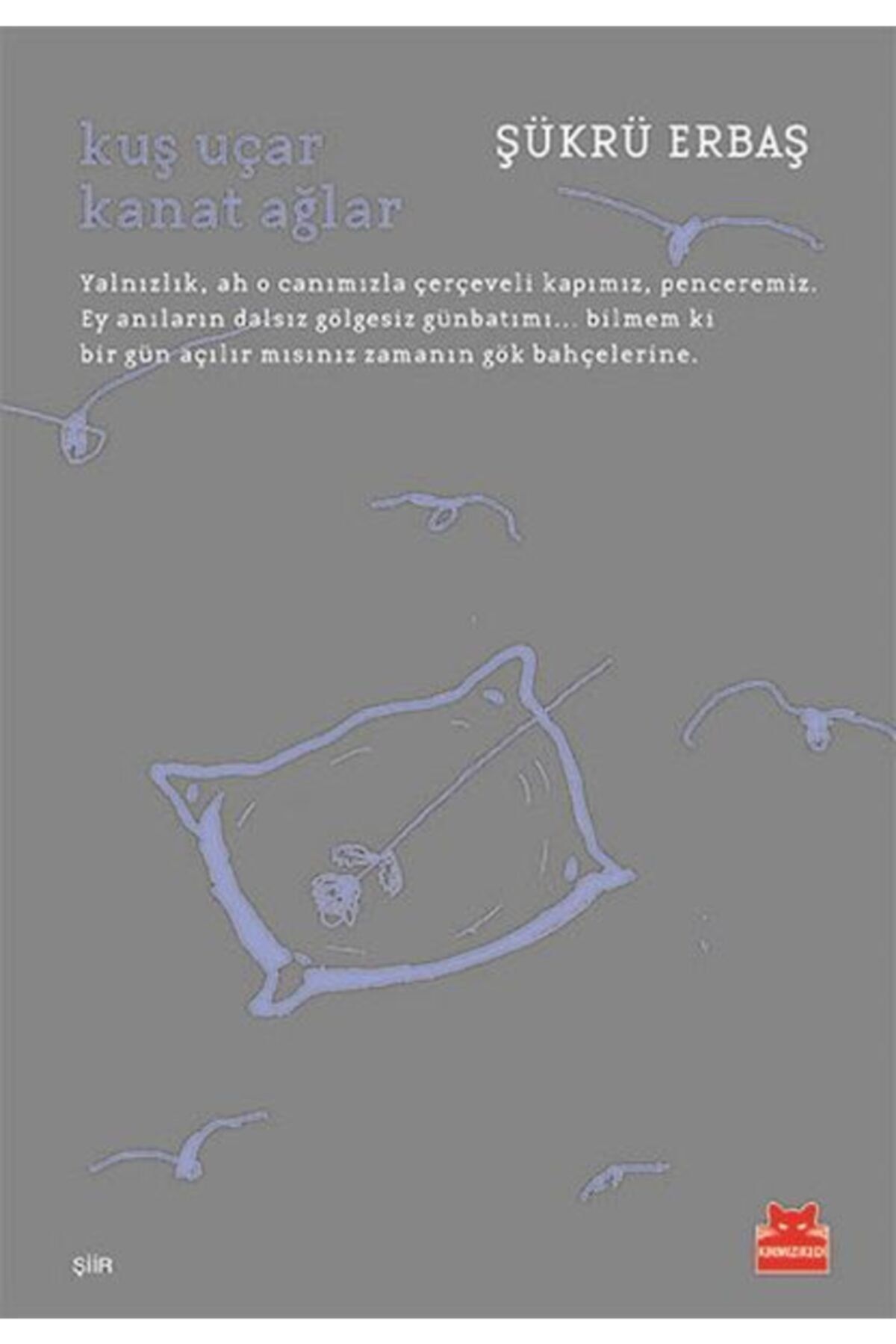 Kırmızı Kedi Yayınevi Kuşuçar Kanat Ağlar-