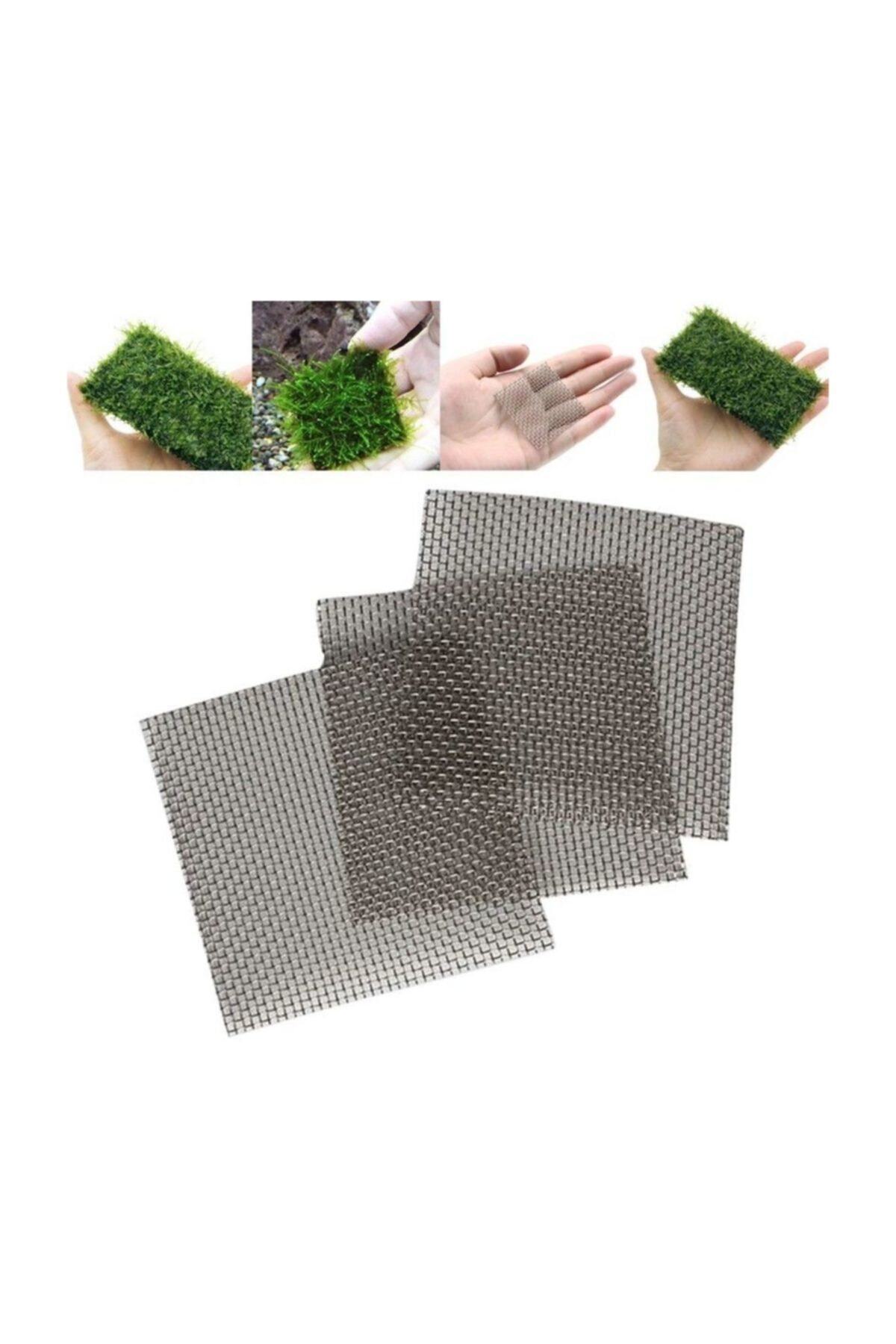 BIO AQUATIC Moss Teli 10x10 cm 5 Adet Java Ve Riccia Moslar Için Ideal