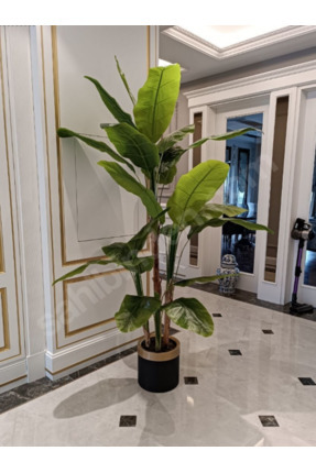 Metal Gold Siyah Saksılı 200 Cm Yapay Muz Ağacı Yapay Ağaç Image 0