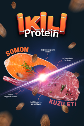 Duo Protein Somonlu & Kuzu Etli Orta ve Büyük Irk Yetişkin Köpek Maması 10 kg Image 1