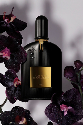 Black Orchid EDP 100ml Parfüm Image 1