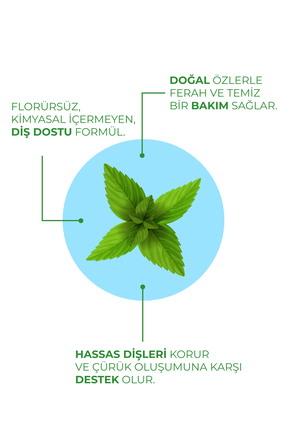 Doğal Yoğun Naneli Florürsüz Ferah Nefes Diş Macunu 100 Ml Image 3