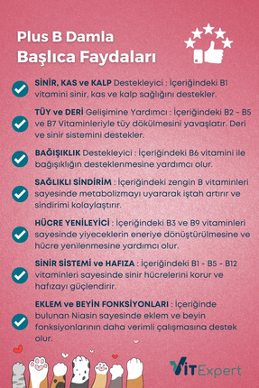 Hızlı Etkili Tüy Dökülmesi Önleyici Tüm Kediler İçin Plus B Biyotin Multivitamin Damlası 50 ml Image 3