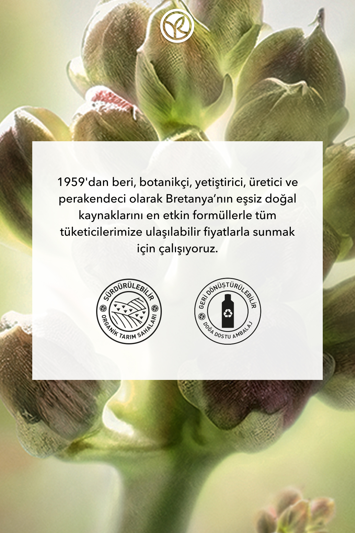 مراقبت از سلول های بنیادی گیاهی ضد لک و ضد پیری ضد پیری درخشندگی جهانی- کرم ویتامین E - 30 SPF