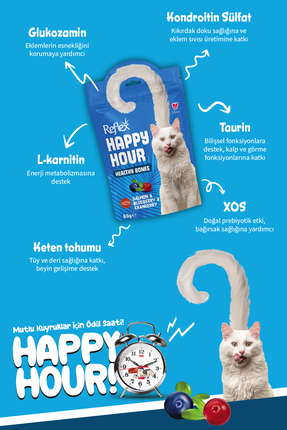Happy Hour Somonlu ve Yaban Mersinli Destekleyici Kedi Ödülü 60 Gr Image 1