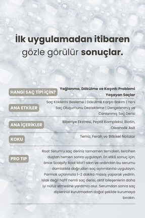 Scalpify Saç Derisi Serumu | Dökülme Önleyici & Folikül Güçlendirici Biberiye + Biotin + Peptit Image 5