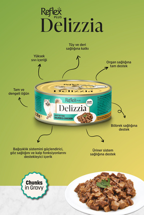Plus Delizzia / Sos İçinde Parça Etli Somonlu & Tavuklu Yetişkin Kedi Maması 85g x 6 Adet Image 1