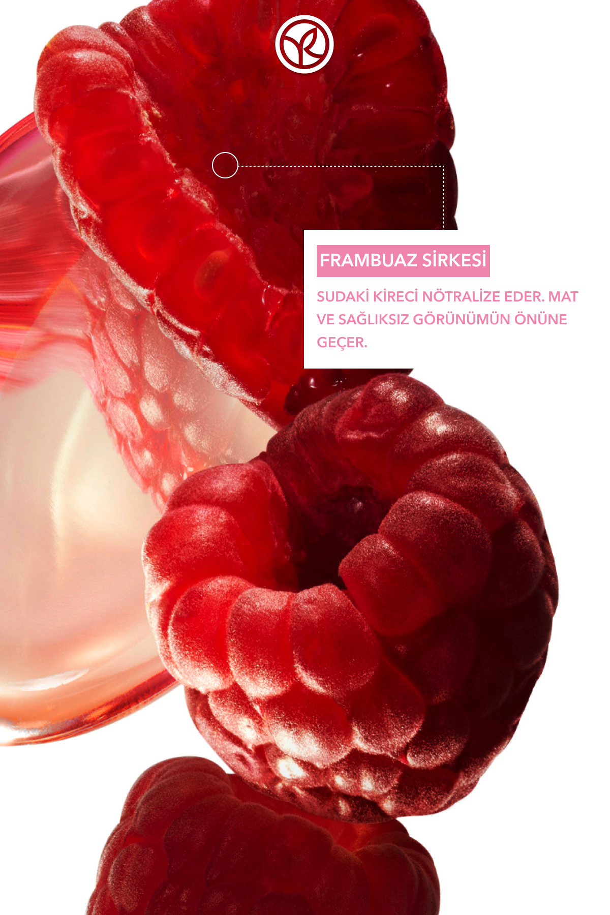 شامپو محافظ رنگ - موهای رنگ شده / کولور - فاقد SLS، SLES، Vegan - 300 میلی لیتر