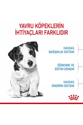 Mini Puppy Küçük Irklar Için Yavru Kuru Köpek Maması 2kg Image 5