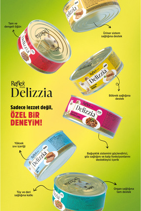 Plus Delizzia / Sos İçinde Parça Etli Karışık Yetişkin Kedi Maması 85g x 36 Adet Image 1