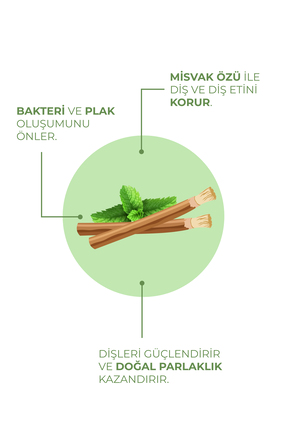 Diş Macunu Misvak Özlü 100 ml Image 2