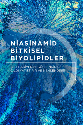 Atoderm Shower Oil Kuru Cilt Nemlendirici ve Besleyici Duş Yağı Niasinamid Bebek Çocuk Yetişkin 1 Lt Image 3