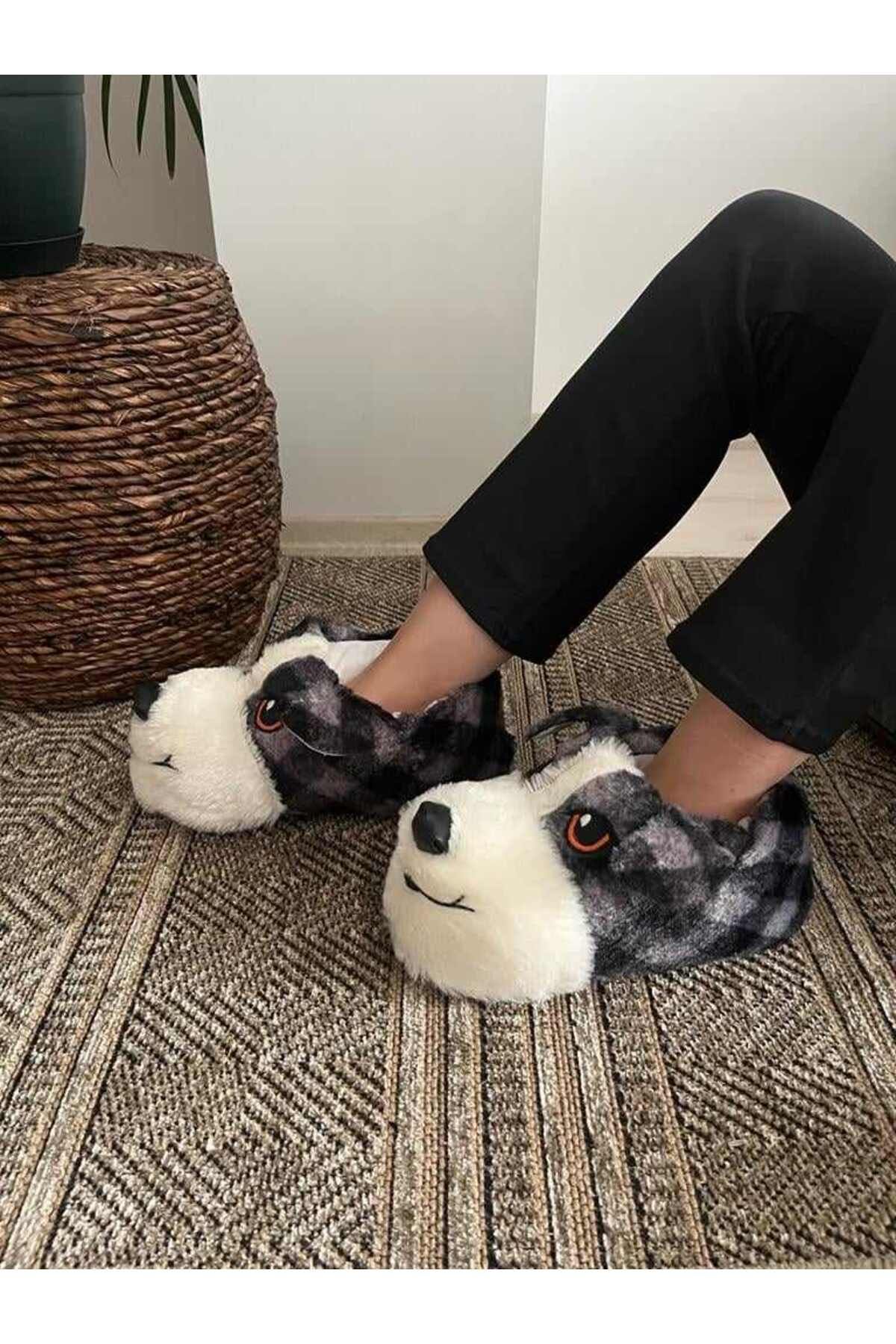 Dog store feet slippers