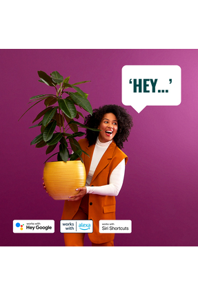 75W Renkli Ambiyans E27 Akıllı Ampul (G95) Matter, Google Home, Alexa Uyumlu Image 3