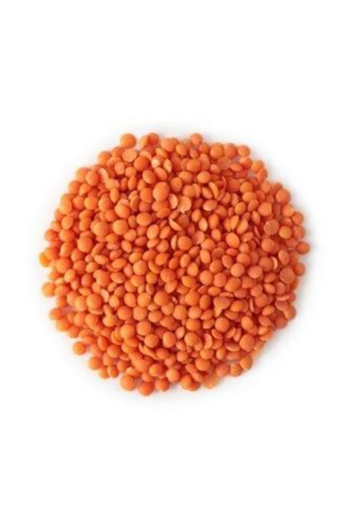 ATTAR GANİ Kırmızı Mercimek 1 Kg