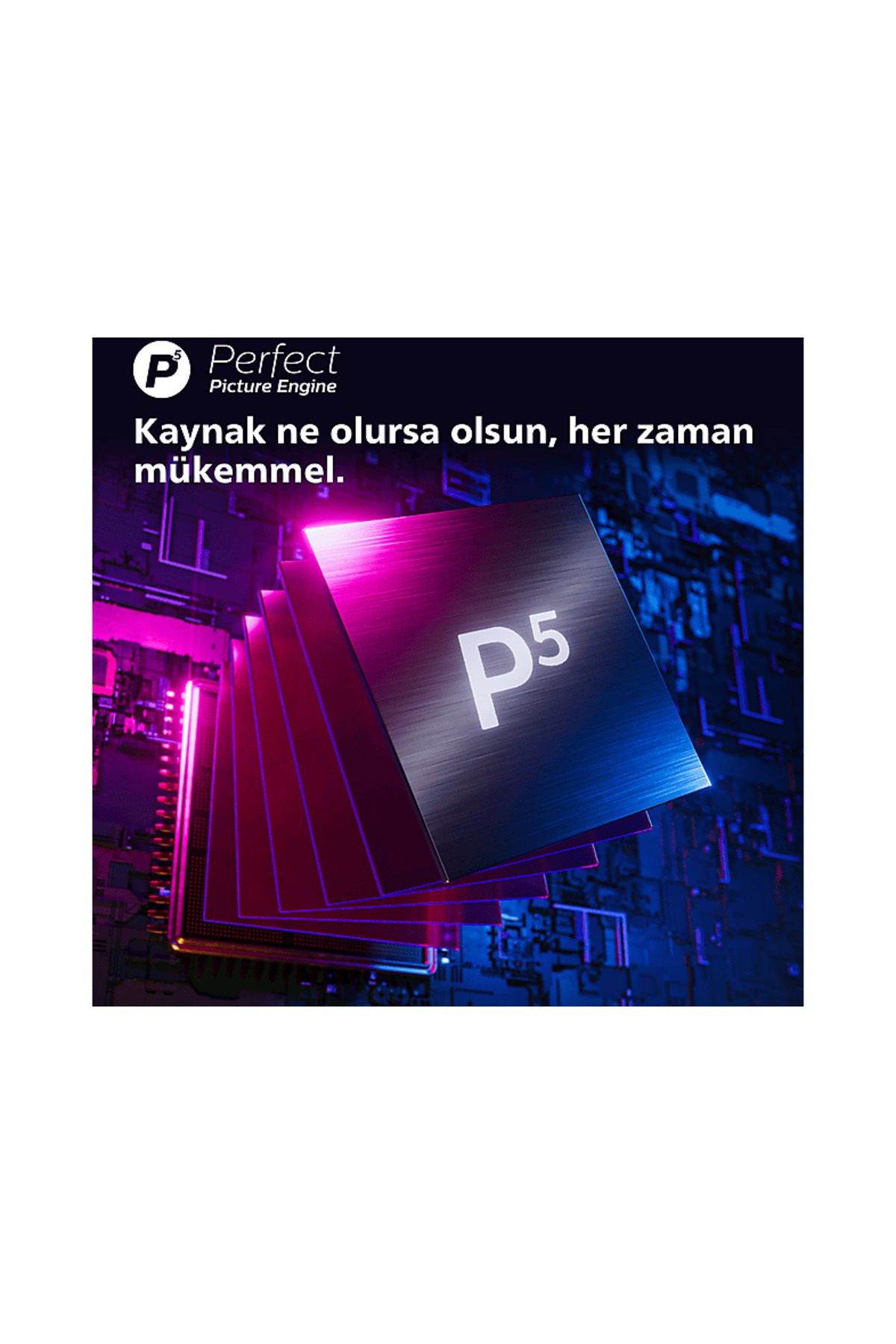 1_org_zoom.jpg