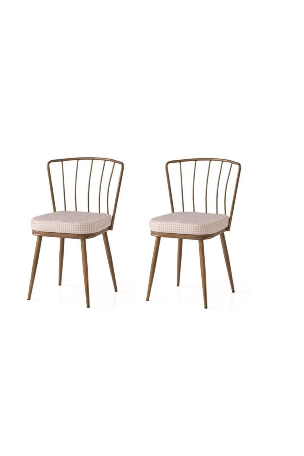 erezoğulları Modern Mutfak Cafe Bahçe Sandalyesi  2 Li