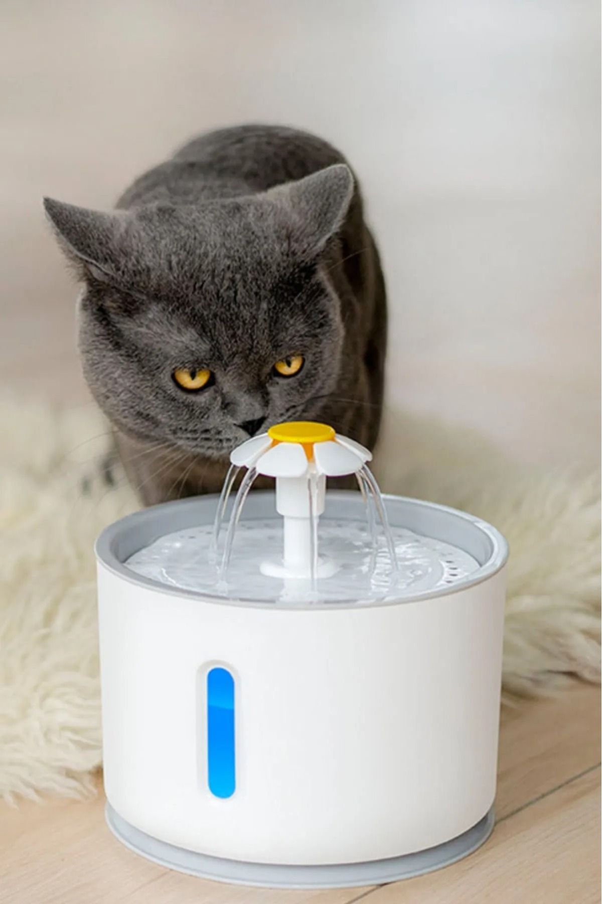 Pet fountain hot sale cat water dispenser