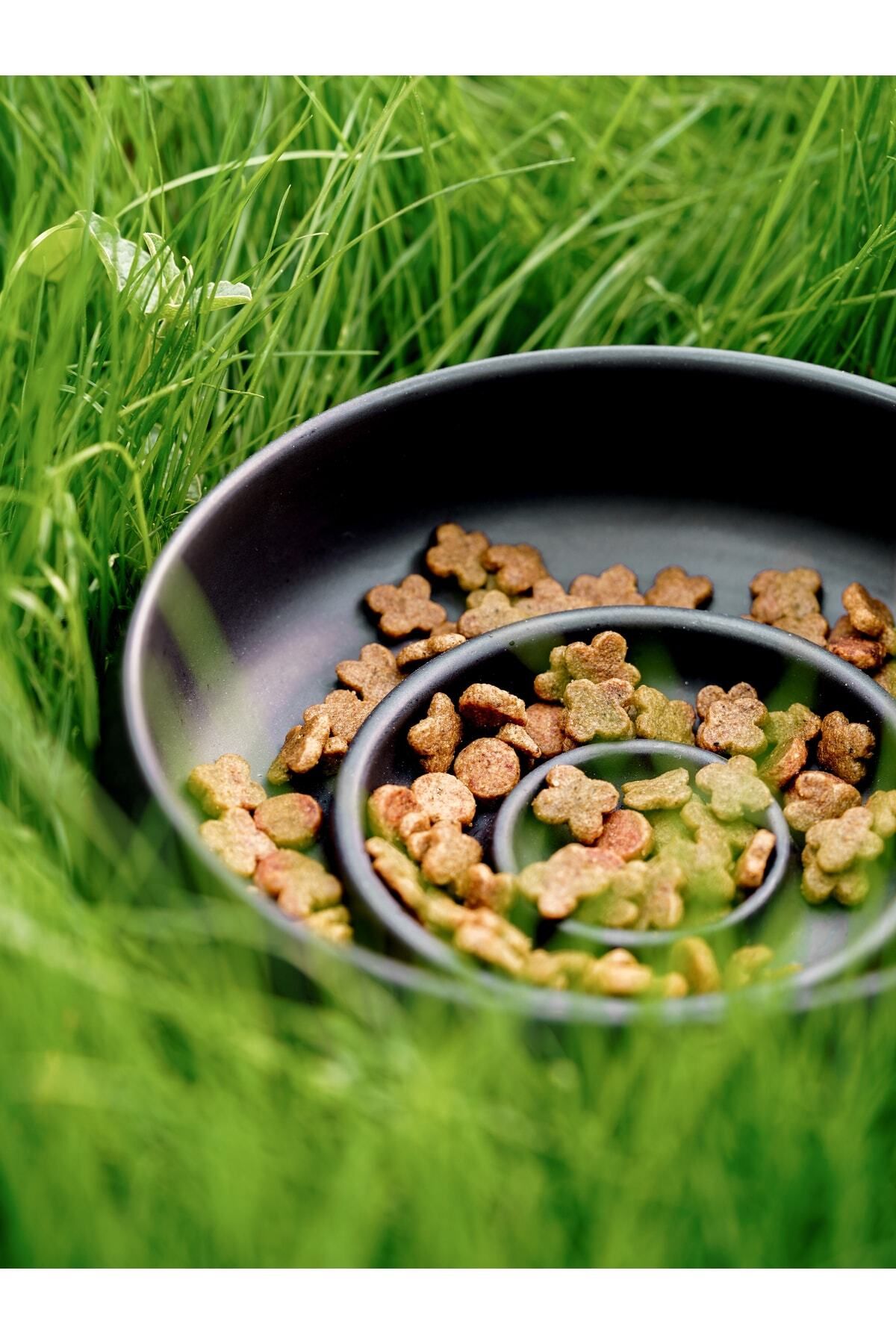 Petsmart food bowl top