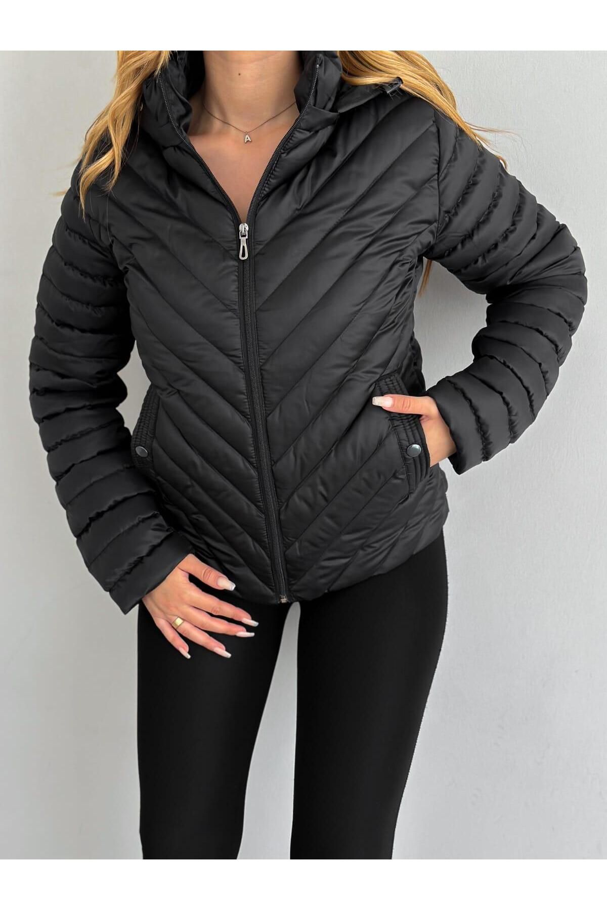 The rail online hooded puffer jacket