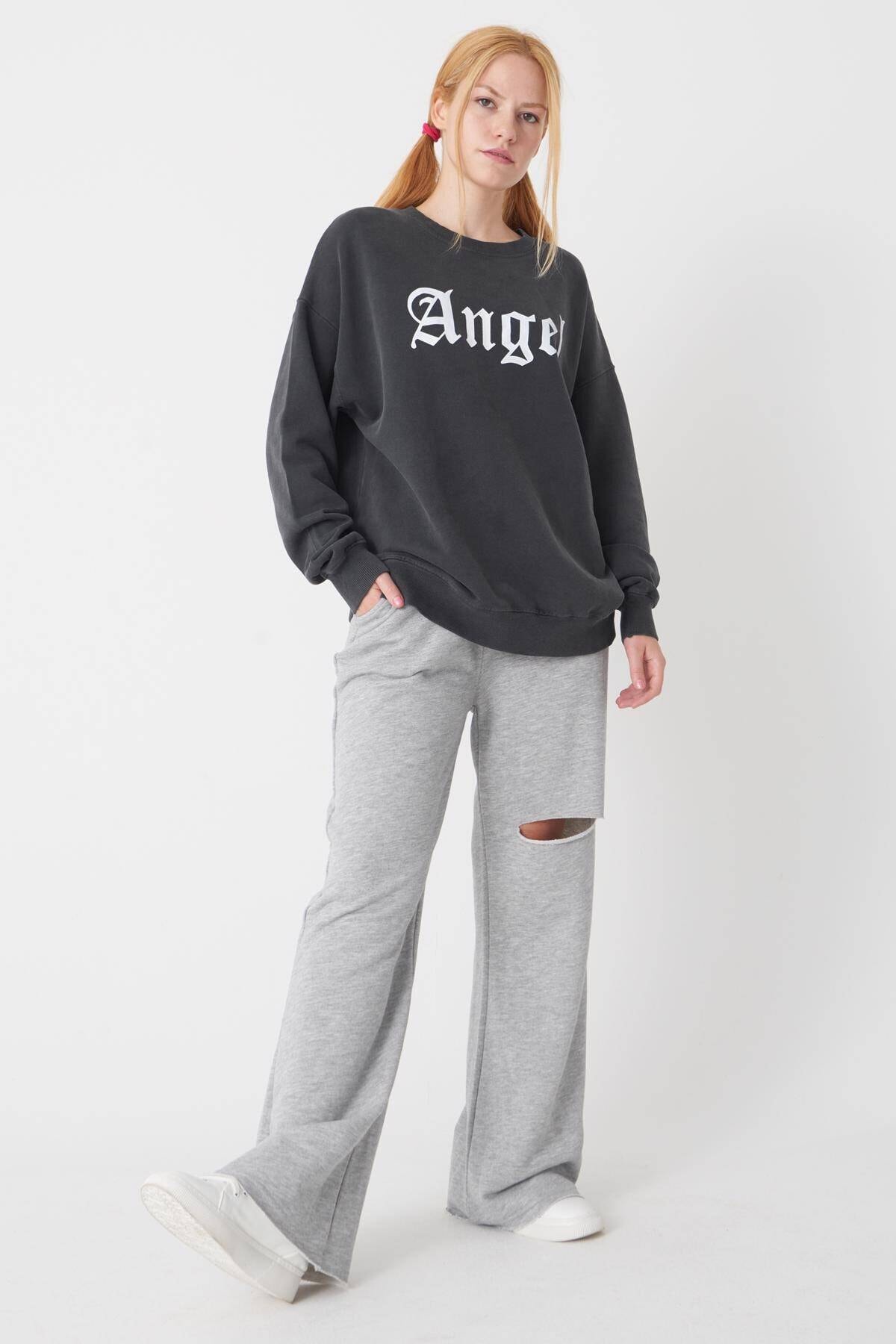 addax nasa sweatshirt
