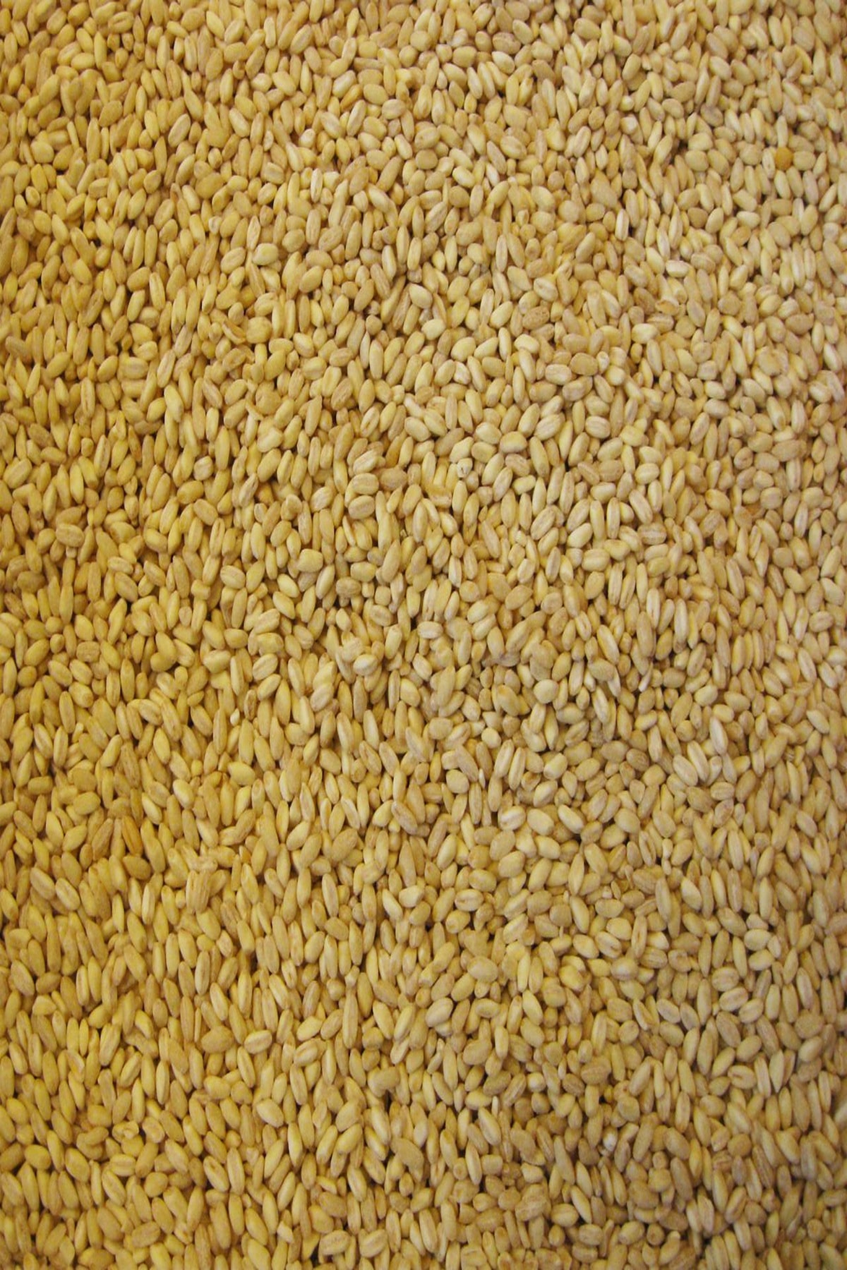 Arişaltı Taze Mahsul Maraş Dövmesi 3 Kg