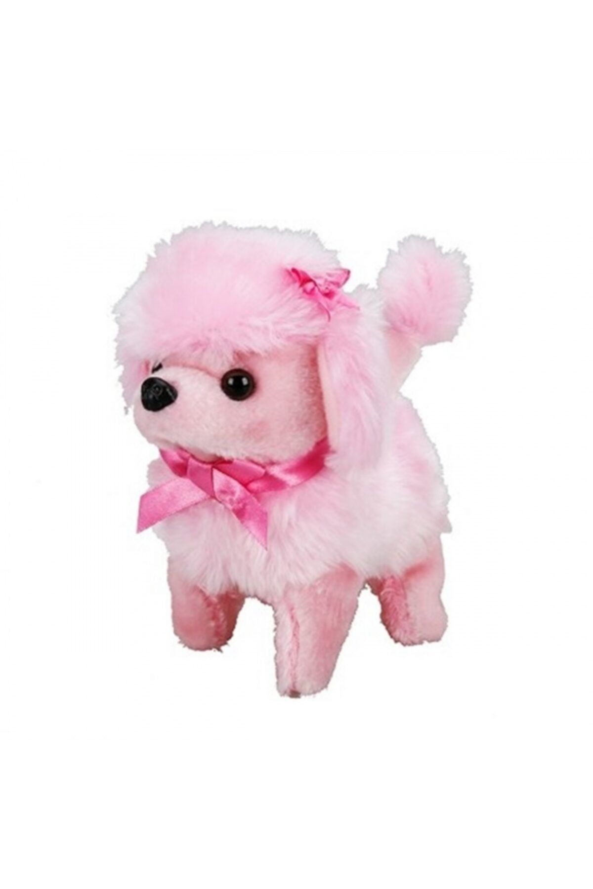 Sunman Sevimli Köpek Poodle