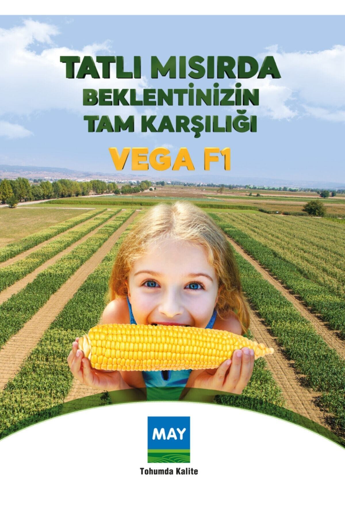 MAY TOHUM Vega F1 Tatlı Mısır Tohumu 10.000 Adet