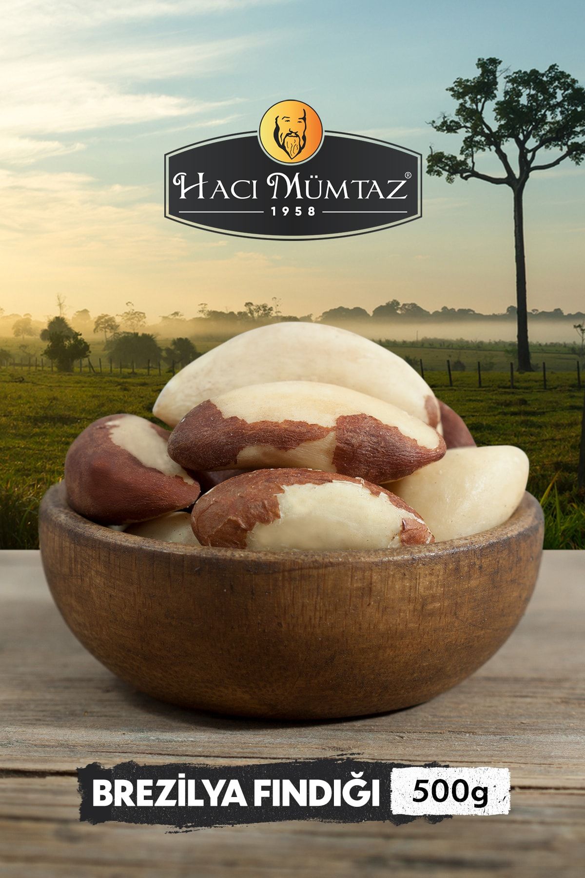 Hacimumtaz Brezilya Findigi Brezilya Cevizi 500g Fiyati Yorumlari Trendyol