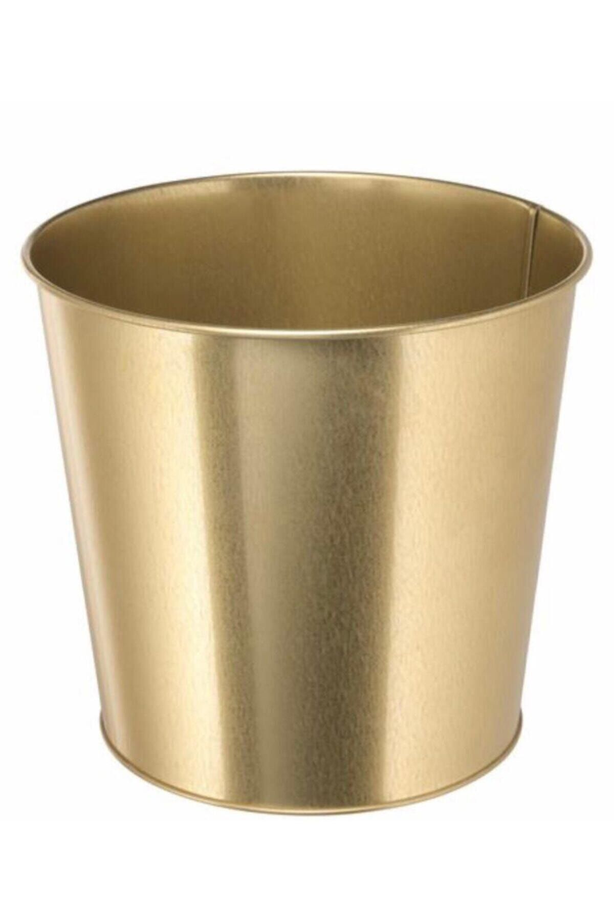 IKEA Daıdaı Saksı Altın Reng 9 Cm Çap