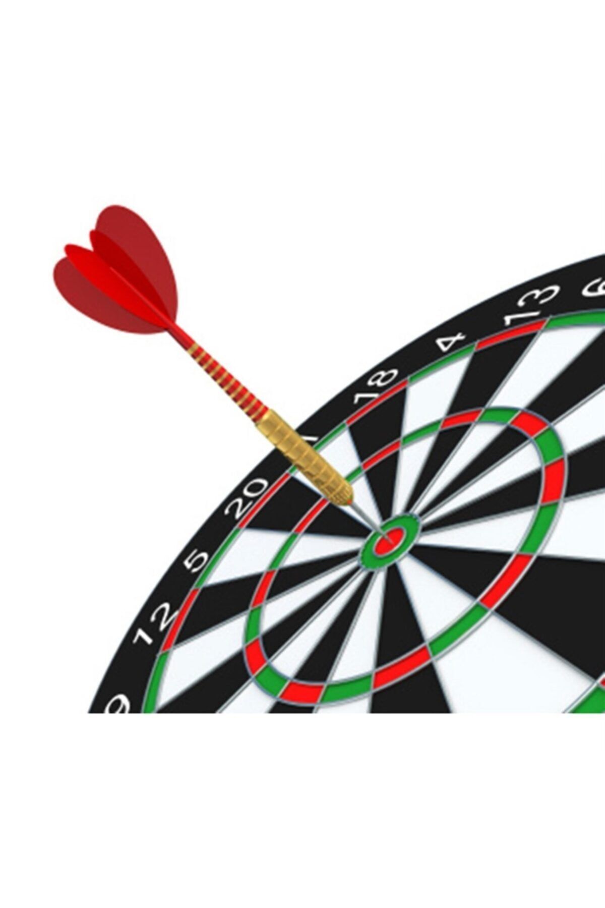 ALTIS Dart Seti 38cm Dr20