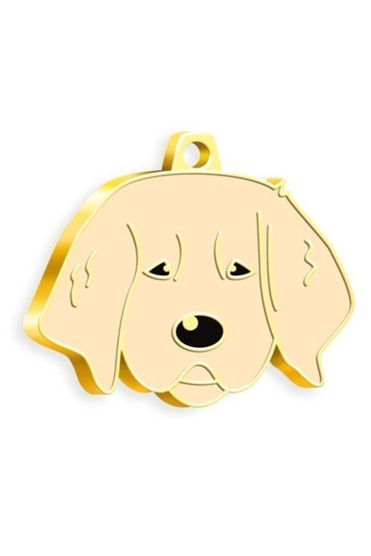 EvimShopping Altın Kaplama Yavru Golden Köpek Künyesi