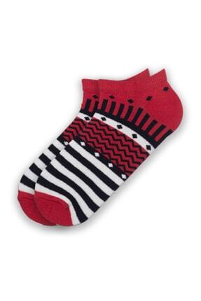 Modernity Parf&uuml;m Kokulu Unisex Patik &Ccedil;orap