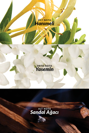 Little Black Dress Bayan Parfüm 50 Ml Image 2