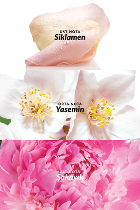 Celebre Kadın Vücut Spreyi 100 Ml. Image 2