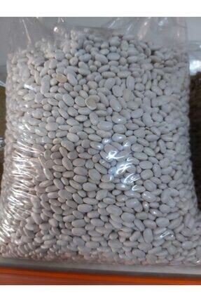 Fasulye 5kg Organik Kuru Fasulye Image 0