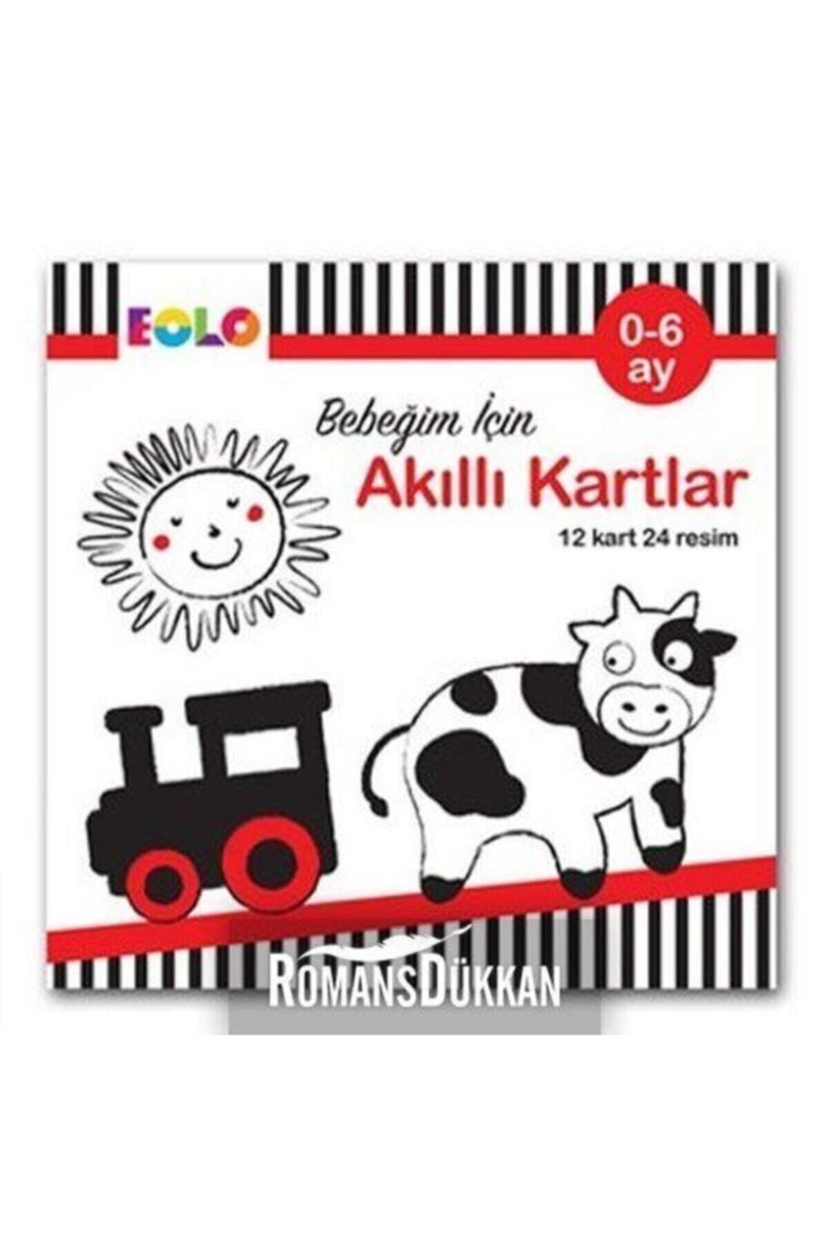 eolo bebegim icin akilli kartlar 0 6 ay 12 kart 24 resim fiyati yorumlari trendyol