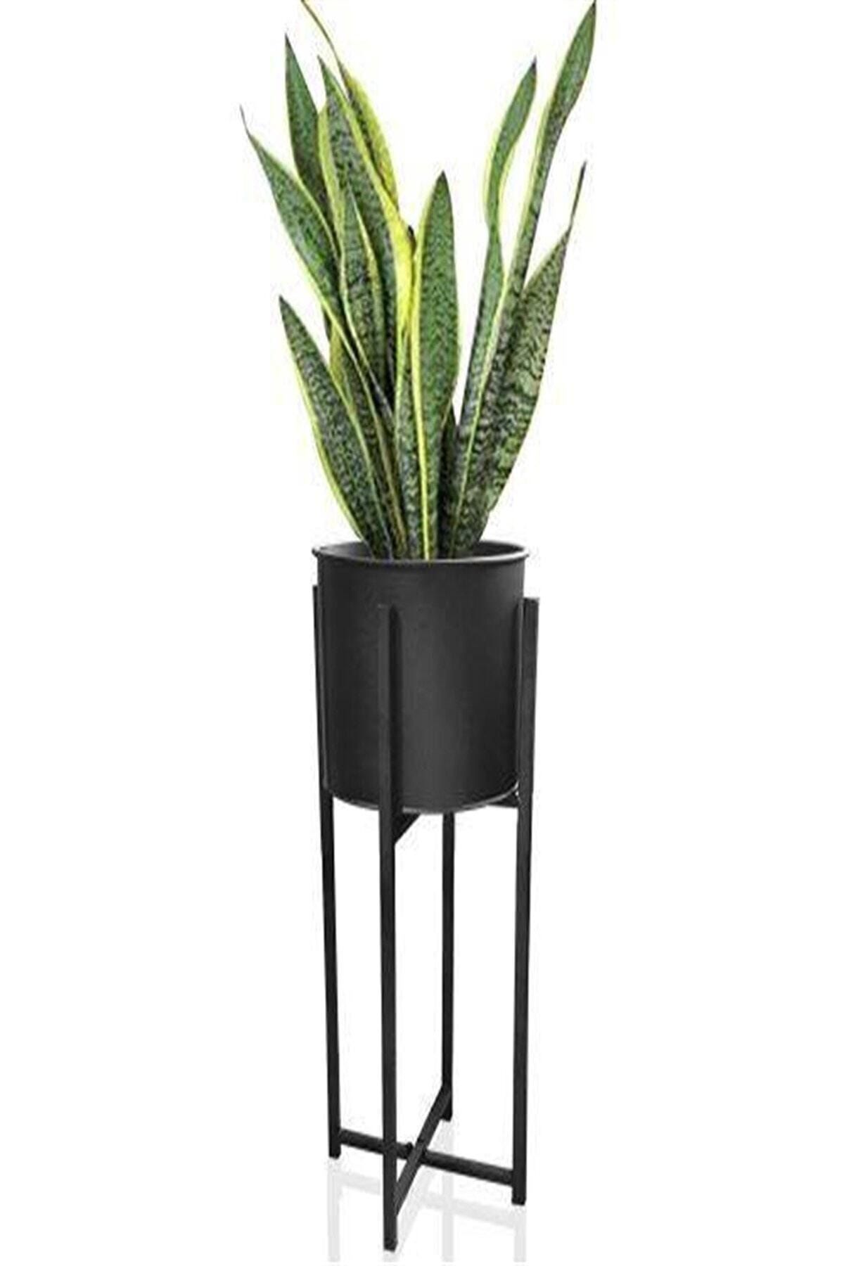 CAŞ DEKORASYON Siyah Metal Dekoratif Ayaklı Saksı 76x23 cm