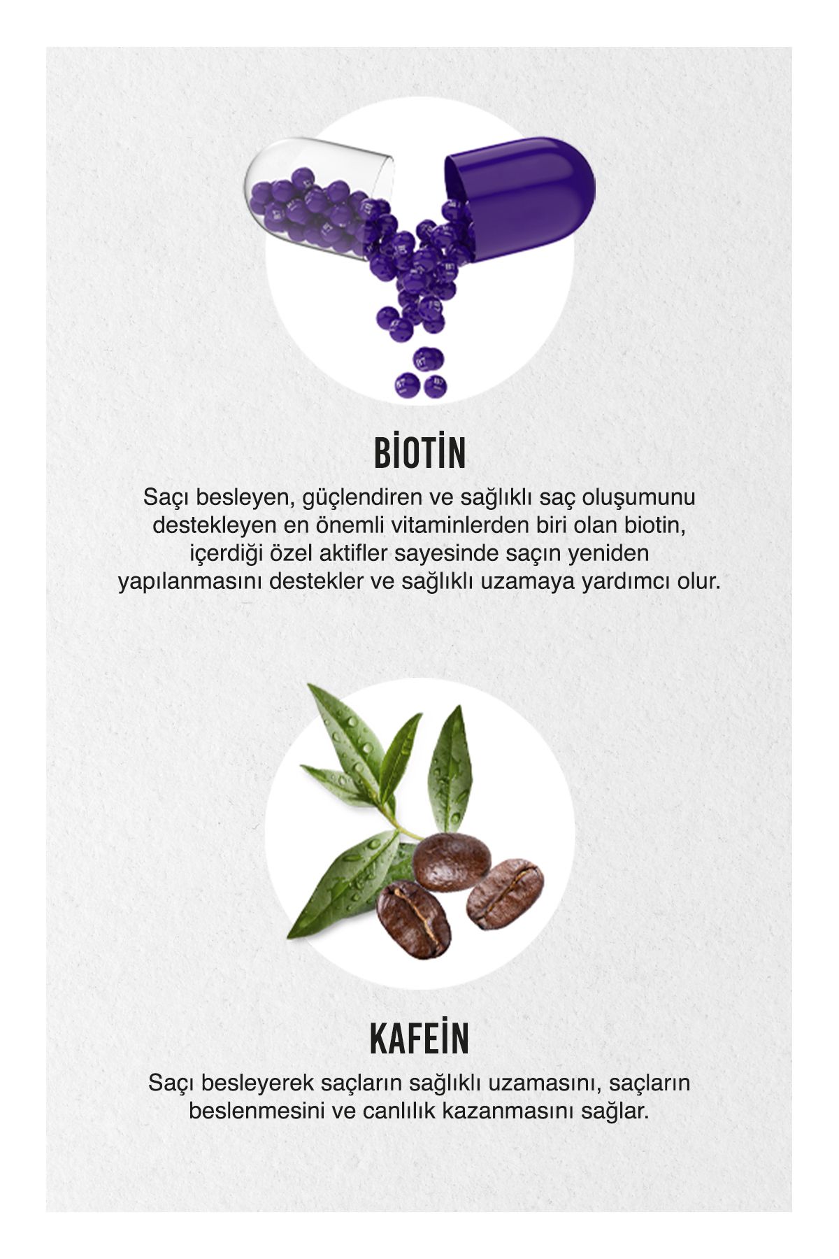 Expert Biotin&caffeine Şampuan 350ml
