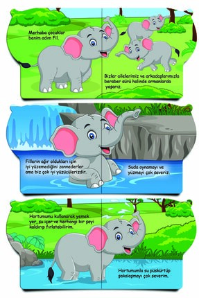 Benim Adım Hayvanlar Ilk Kitaplarım Eğitici Seti 6 Kitap Image 4