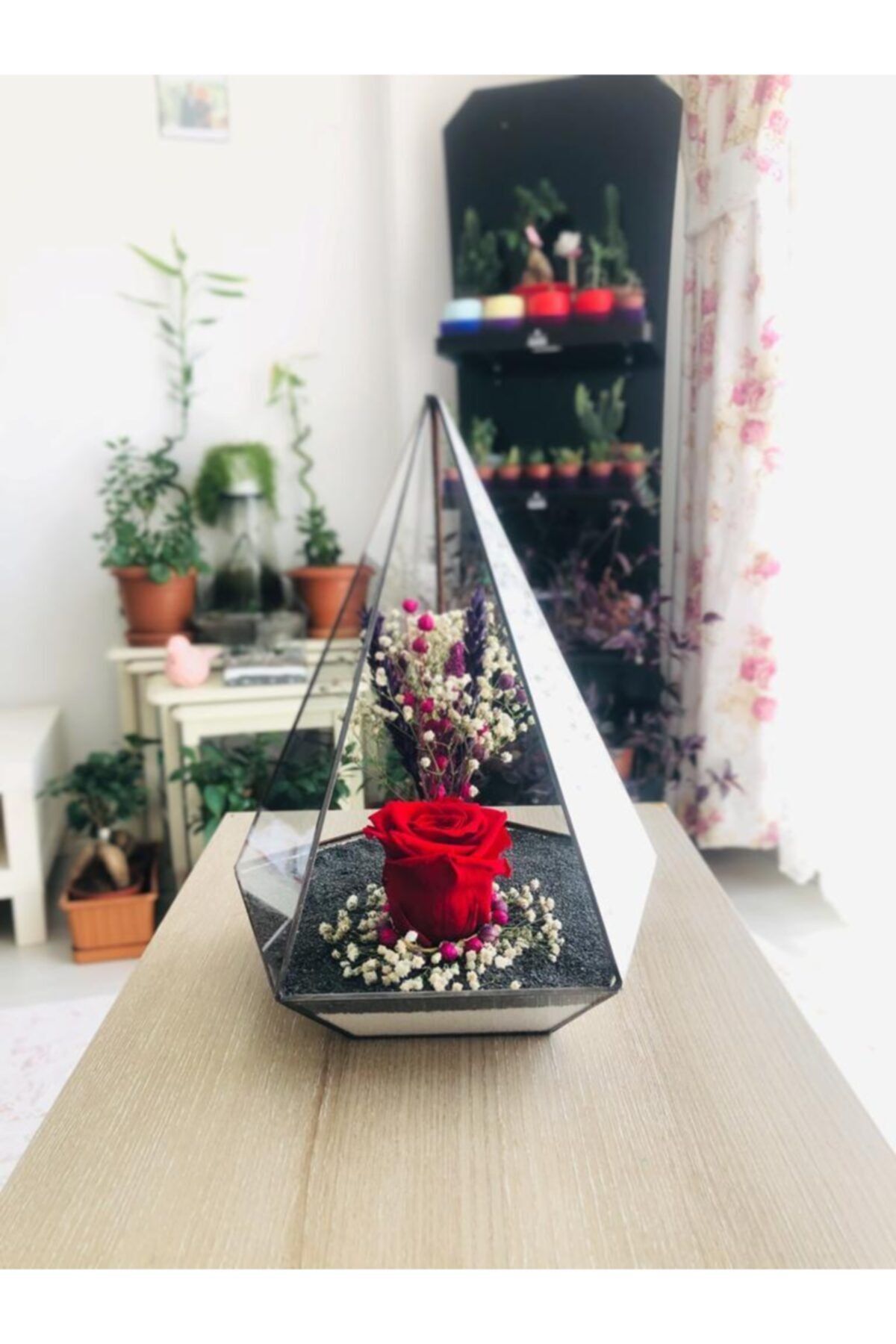 vitrayverteks Kırmızı Solmayan Gül Teraryum Cam Fanus Antrasit