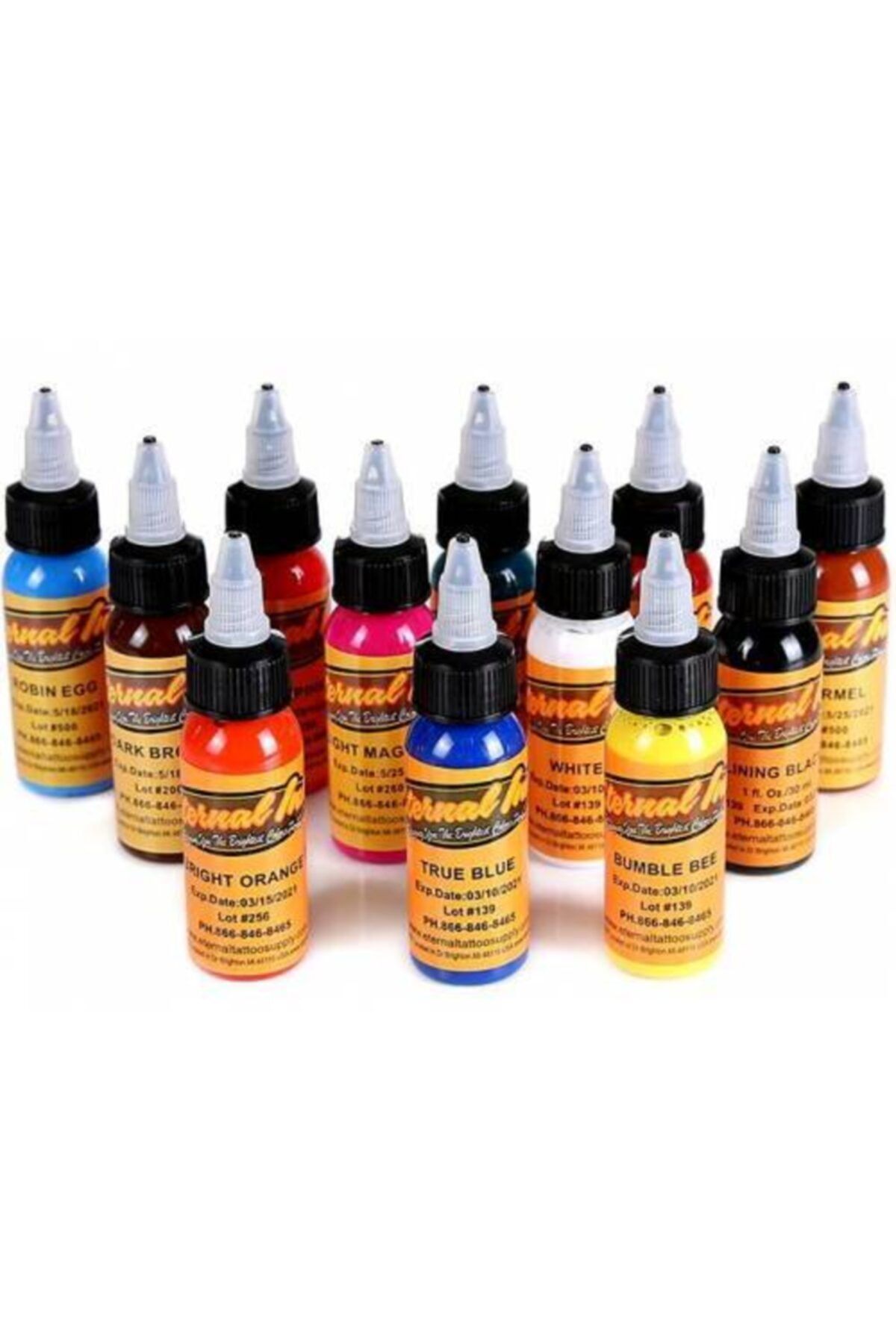ETERNAL Profesyonel Dövme Boyası Seti 12 Renk 30 ml