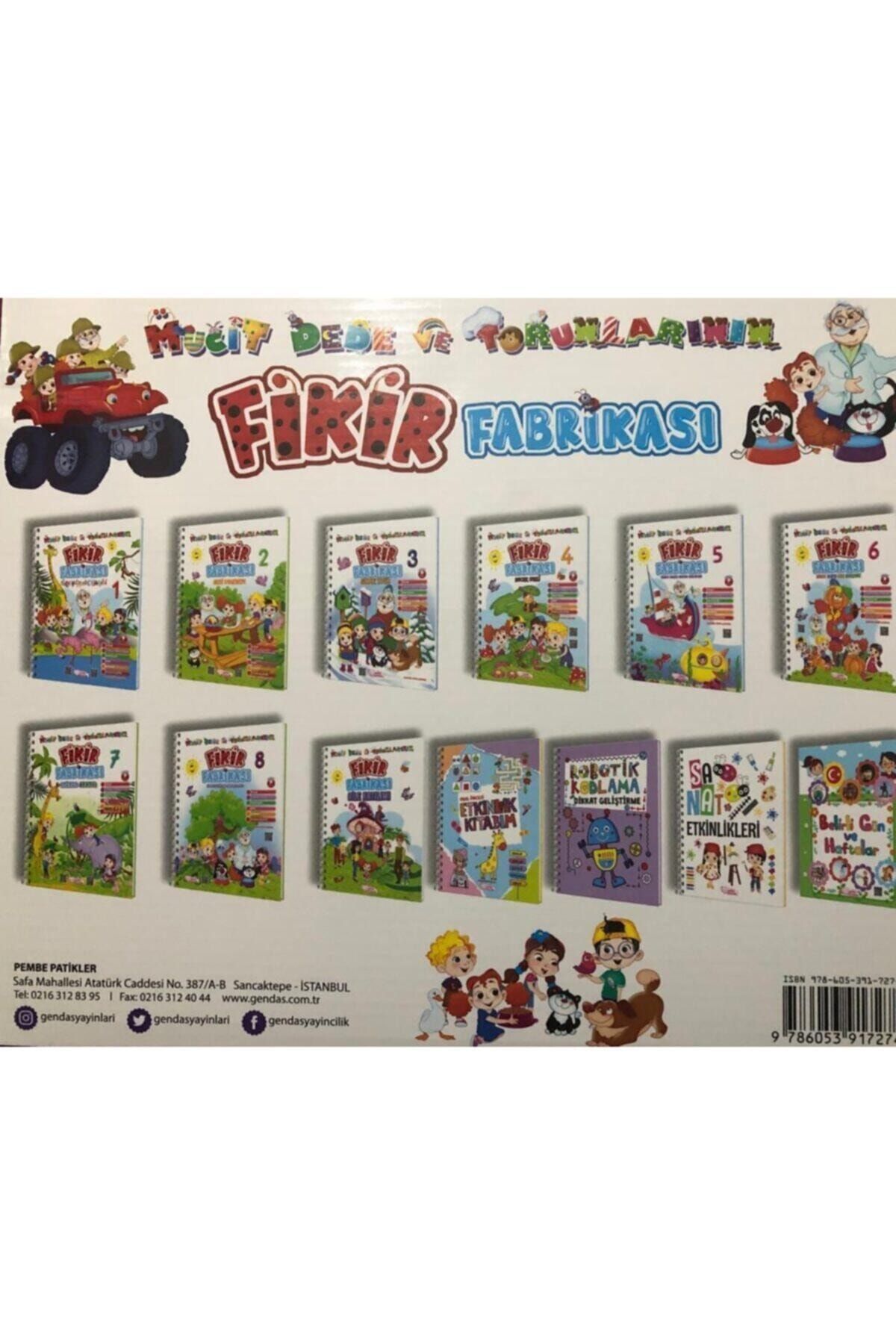 pembe patikler yayinlari mucit dede ve torunlarinin fikir fabrikasi egitim seti fiyati yorumlari trendyol