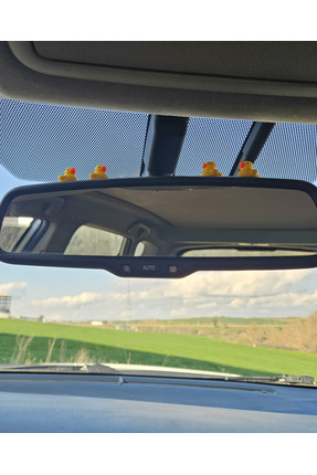 4 Lü Mini Ördek Set Dikiz Aynası Süsü Ayna Süsü Araba Süsü Image 1