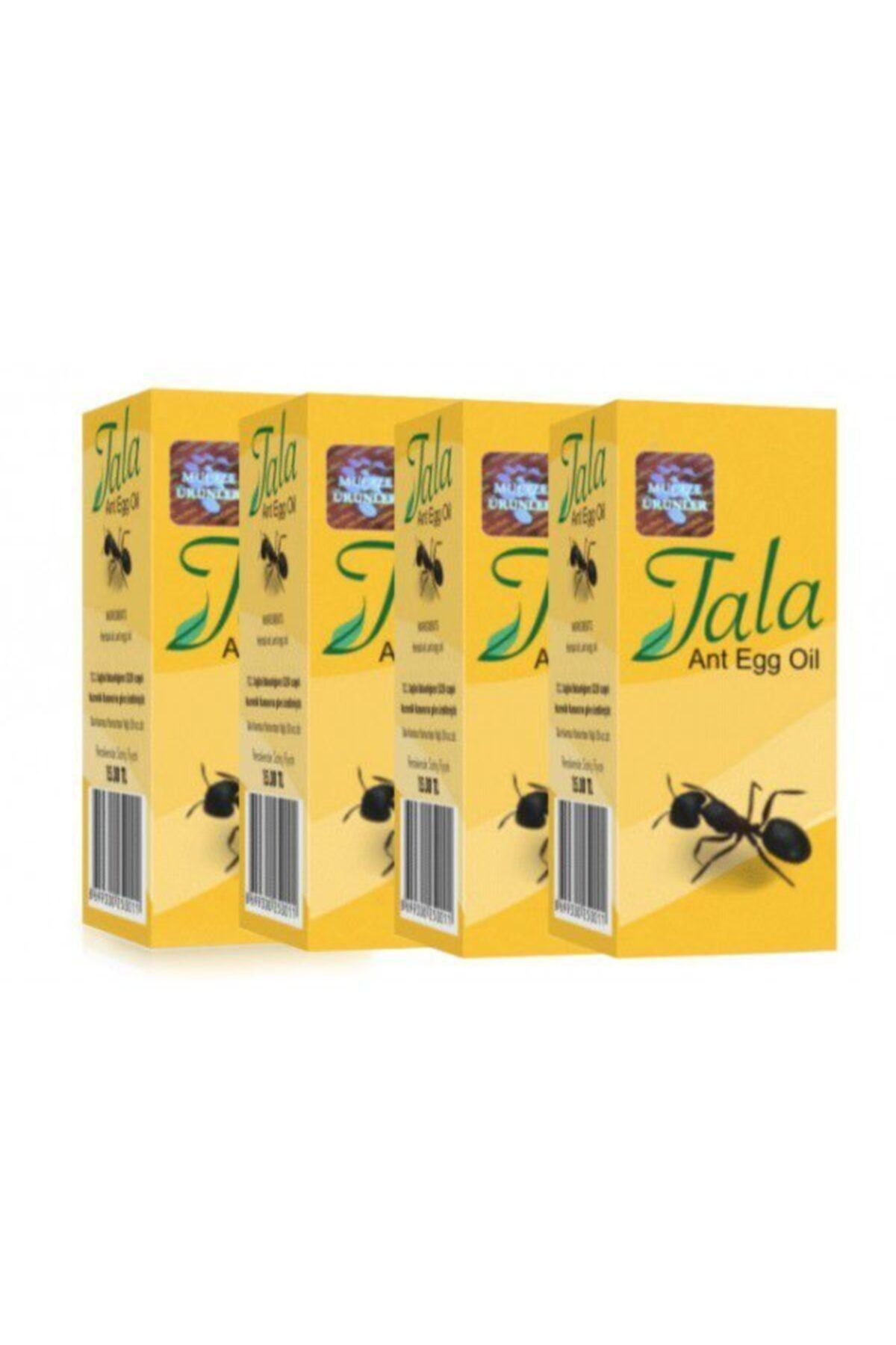 zencefil organik tala karinca yumurtasi yagi 20 ml x 4 orijinal urun 4 kutu fiyati yorumlari trendyol