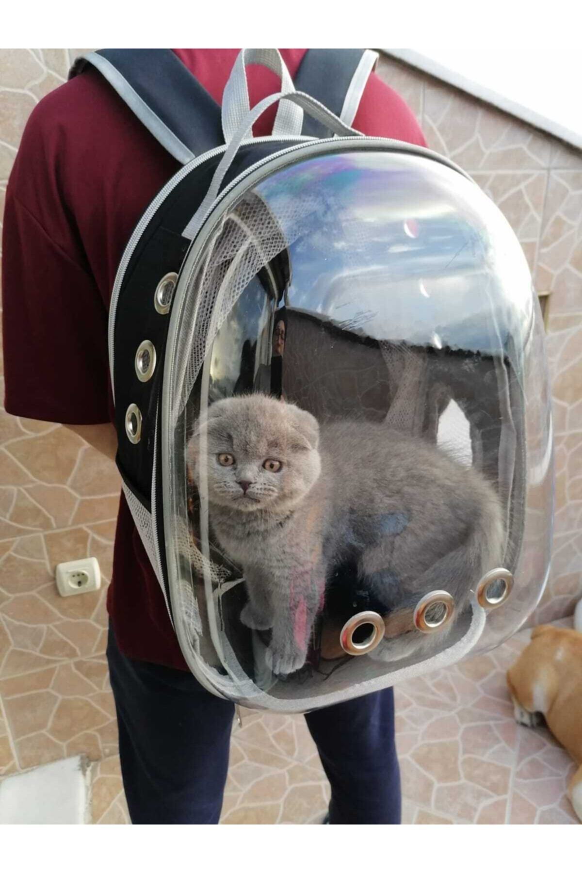 RunoCar Fileli Açılabilir Şeffaf Astronot Kedi Köpek Evcil Hayvan Taşıma Çantası Siyah
